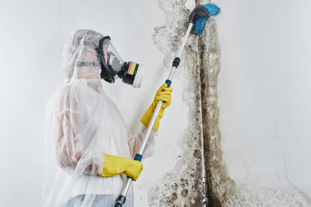 Best Industrial Mold Remediation in Huntersville, NC
