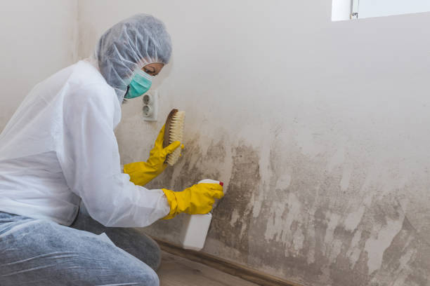 Best Bathroom Mold Remediation in Huntersville, NC